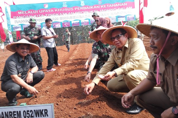 Wakil Walikota Tangsel saat tanam jagung di lahan TNI. (man)